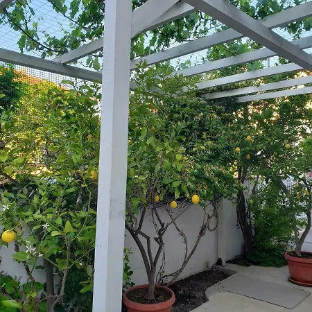 Evtimov بريمورسكو